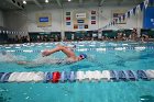 Swim vs Bentley  Wheaton College Swimming & Diving vs Bentley University. - Photo by Keith Nordstrom : Wheaton, Swimming & Diving